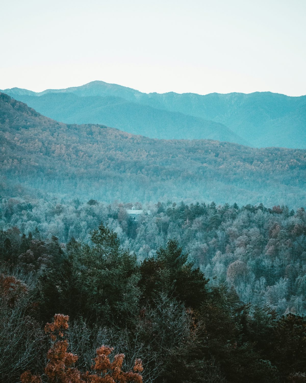 Blue mountain ridges under a rising moon, with autumn forest below
