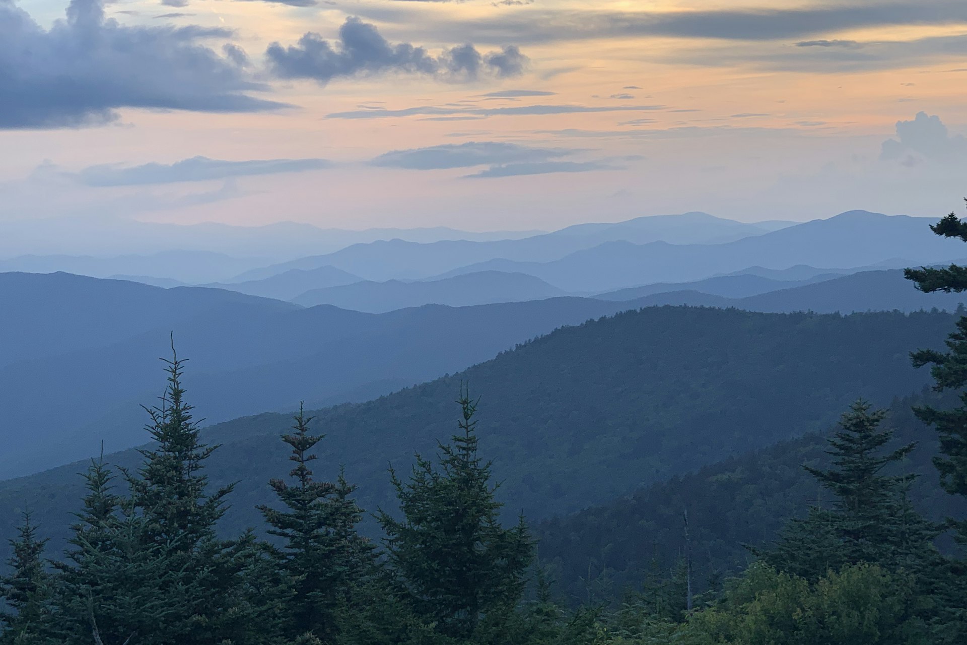 Layered mountain ridges at dusk with spruce trees in the foreground