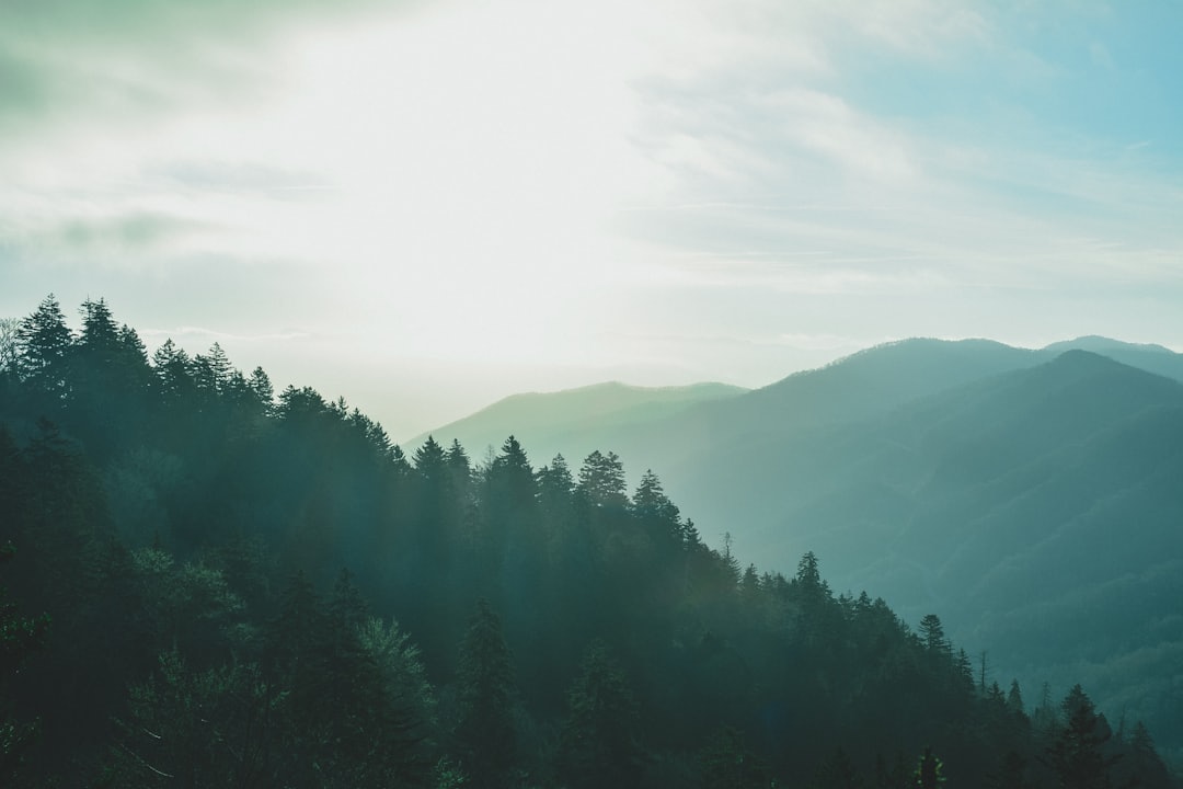 Sunlight breaking over misty, forested mountain ridges